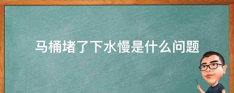 马桶堵了下水慢是什么问题（马桶水下的慢是堵了么）
