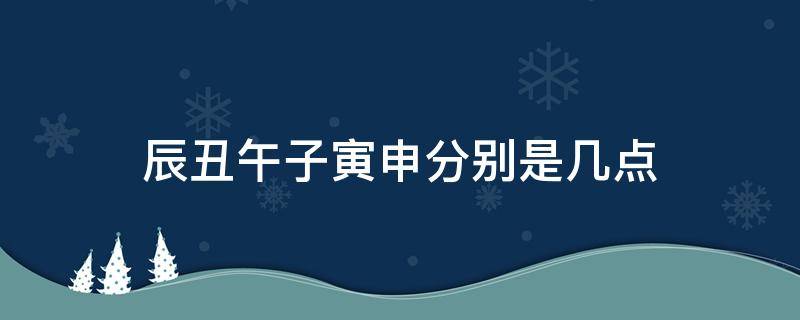辰丑午子寅申分别是几点