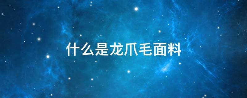 什么是龙爪毛面料（龙爪毛的特点）
