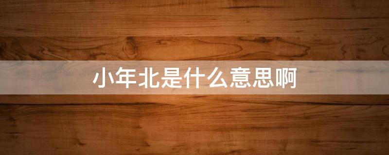小年北是什么意思啊（小年是什么意思啊?）