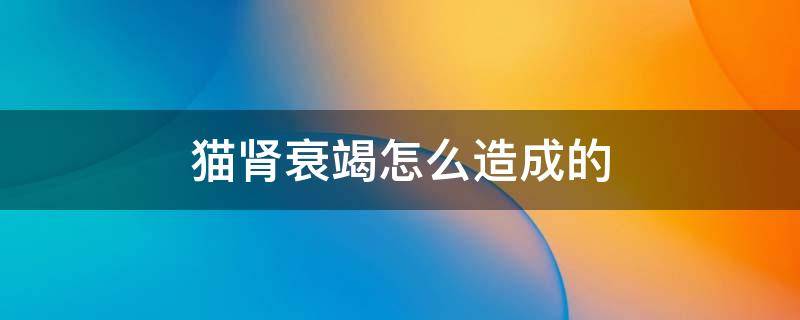 猫肾衰竭怎么造成的 猫肾脏衰竭怎么造成的