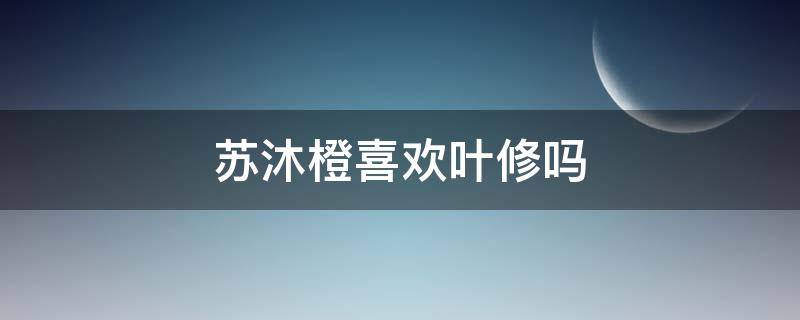 苏沐橙喜欢叶修吗（叶修对苏沐橙的喜欢）