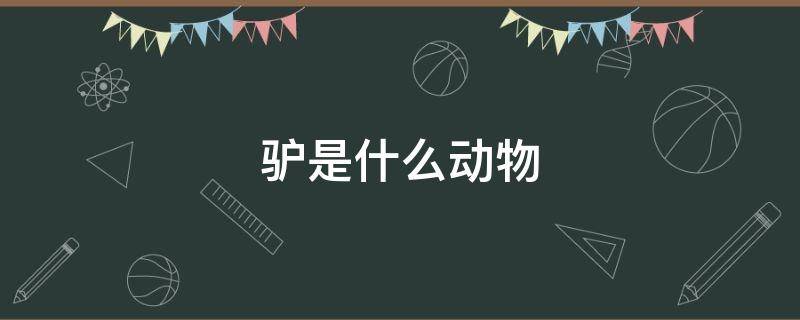 驴是什么动物 非马非驴是什么动物