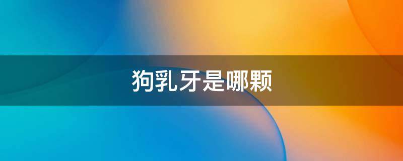 狗乳牙是哪颗（狗狗乳牙是什么样的）