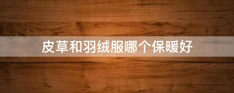 皮草和羽绒服哪个保暖好（皮草和羽绒服哪个保暖效果好）