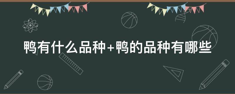 鸭有什么品种（鸭的品种有哪些）
