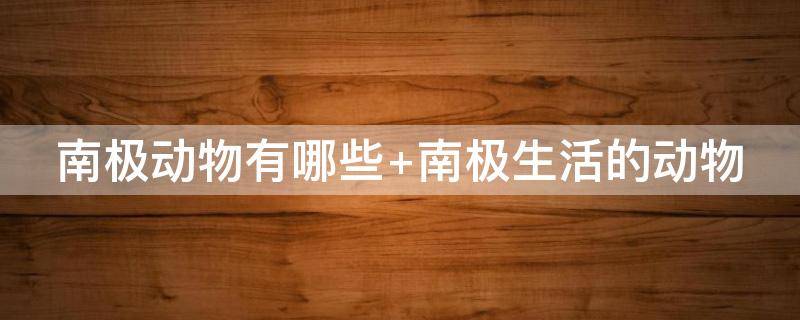 南极动物有哪些 南极动物有哪些特点