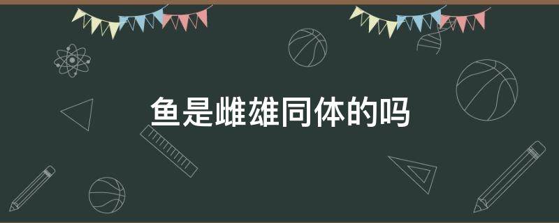 鱼是雌雄同体的吗 孔雀鱼是雌雄同体的吗