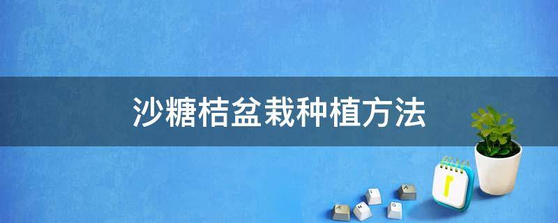 沙糖桔盆栽种植方法（盆栽沙糖桔种植技术）