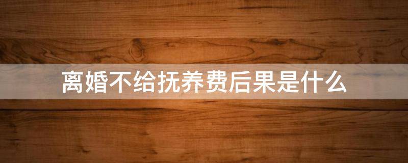 离婚不给抚养费后果是什么（离了婚如果不给抚养费会怎么样）