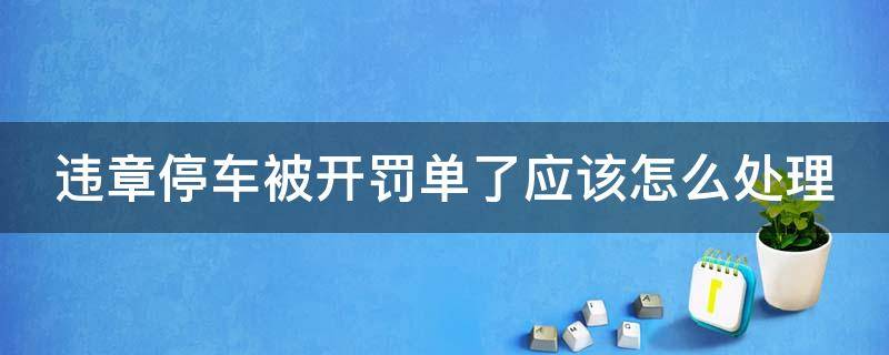 违章停车被开罚单了应该怎么处理 违停被开罚单,有可能不被罚款吗