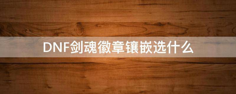 DNF剑魂徽章镶嵌选什么 剑魂装备徽章镶嵌