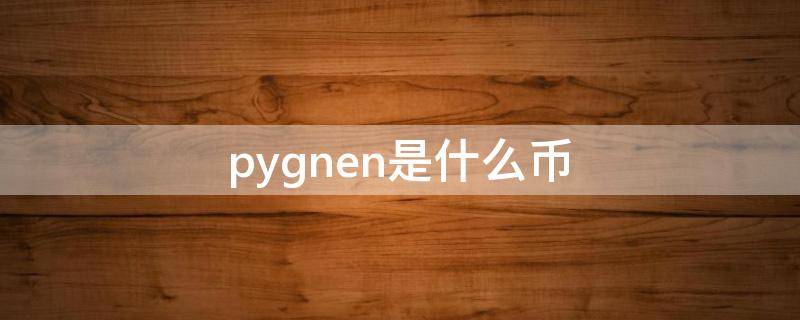 pygnen是什么币（ctopygnen是什么币100元图片）