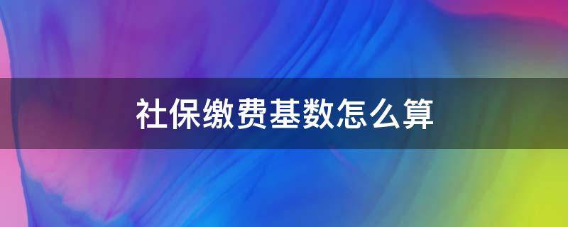 社保缴费基数怎么算 社保缴费基数怎么算养老保险