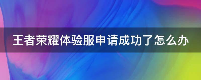王者荣耀体验服申请成功了怎么办 王者荣耀体验服申请成功了怎么办啊