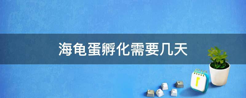 海龟蛋孵化需要几天（海龟蛋孵化需要几天破壳而出要加水吗）