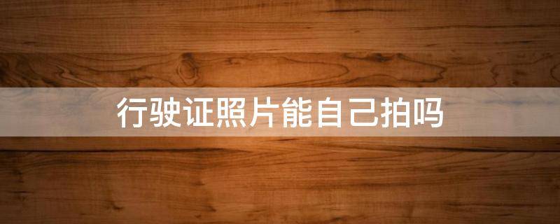 行驶证照片能自己拍吗