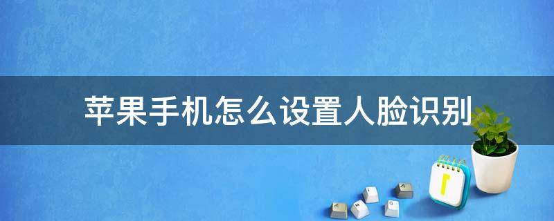 苹果手机怎么设置人脸识别（苹果手机怎么设置人脸识别下载软件）
