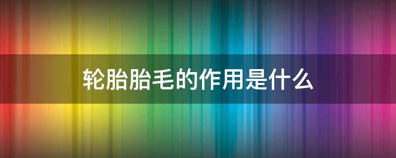 轮胎胎毛的作用是什么（汽车胎毛是什么）