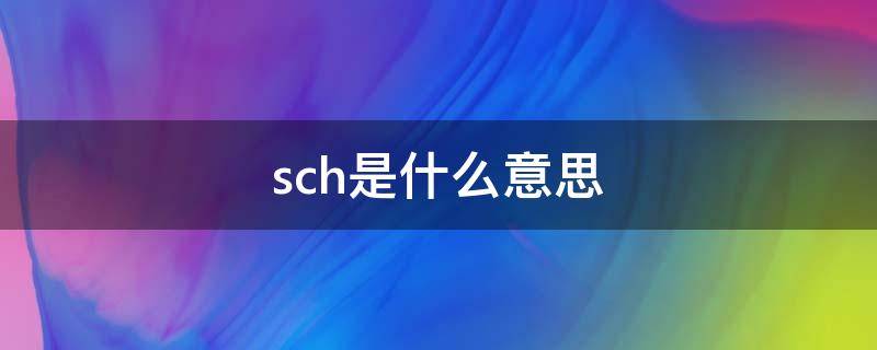 sch是什么意思 schedule是什么意思