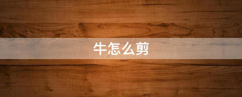 牛怎么剪（牛怎么剪最简单方法）