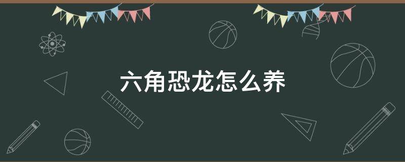 六角恐龙怎么养（六角恐龙怎么养吃什么）