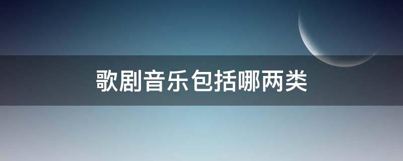歌剧音乐包括哪两类（歌剧音乐主要包括哪两大类）