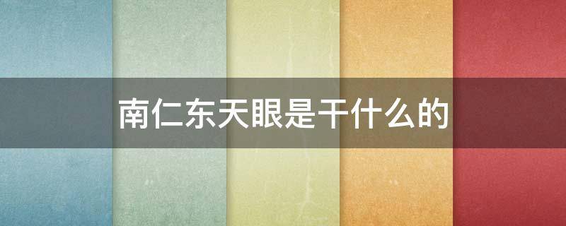 南仁东天眼是干什么的 南仁东的天眼是干嘛的