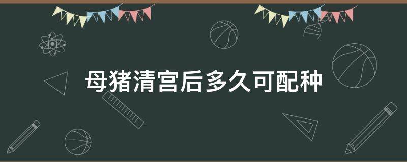 母猪清宫后多久可配种 母猪清宫后多长时间可以配种