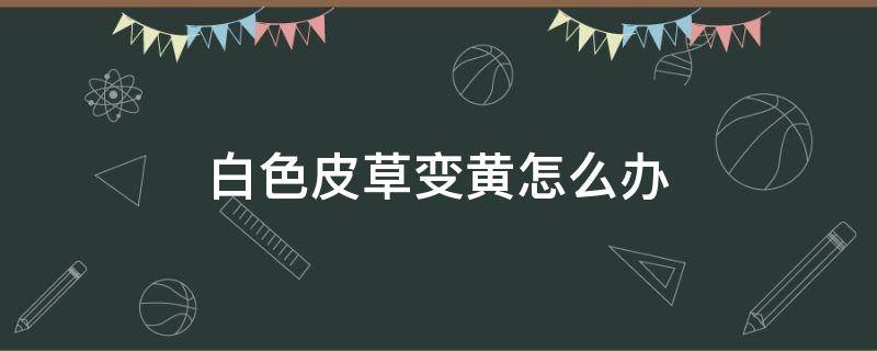 白色皮草变黄怎么办 白色皮草发黄了怎么办