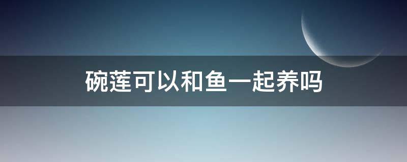 碗莲可以和鱼一起养吗（养碗莲的水里能同时养鱼吗?）