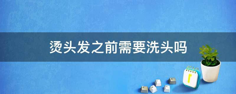 烫头发之前需要洗头吗