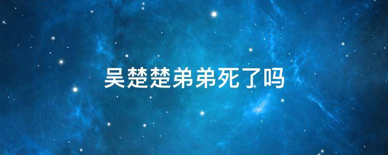 吴楚楚弟弟死了吗 吴楚楚死了没