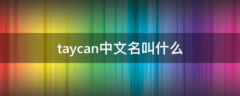 taycan中文名叫什么（taycan中文名叫什么怎么读）