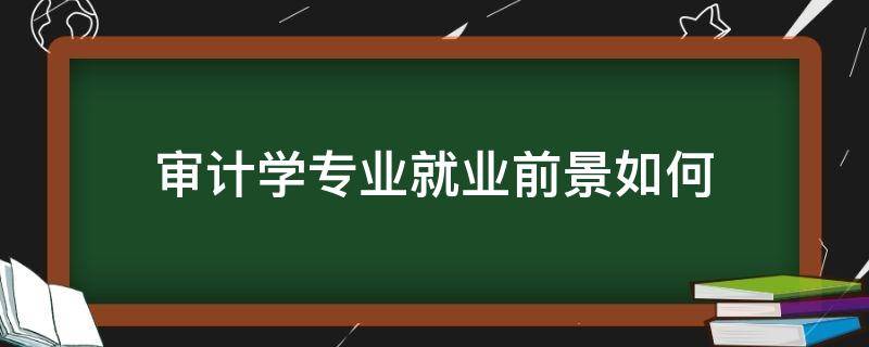 审计学专业就业前景如何 审计学专业就业前景怎么样