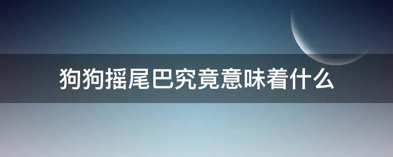 狗狗摇尾巴究竟意味着什么（狗狗摇尾巴是什么情况）