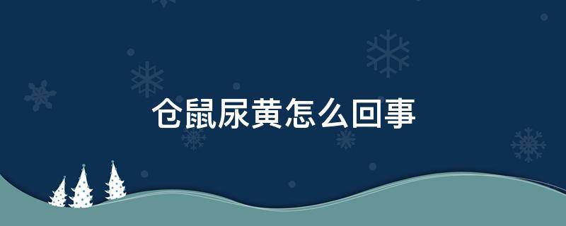 仓鼠尿黄怎么回事（仓鼠尿黄是怎么回事）