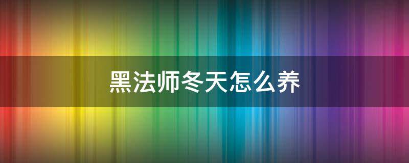 黑法师冬天怎么养 黑法师夏天怎么养不活