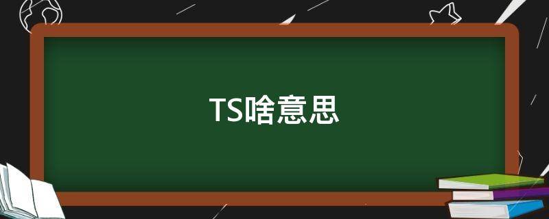 TS啥意思（lovelots啥意思）