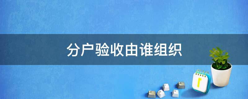 分户验收由谁组织 分户验收由谁组织验收