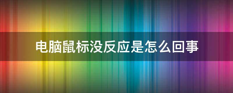 电脑鼠标没反应是怎么回事（电脑鼠标没反应按什么键恢复）