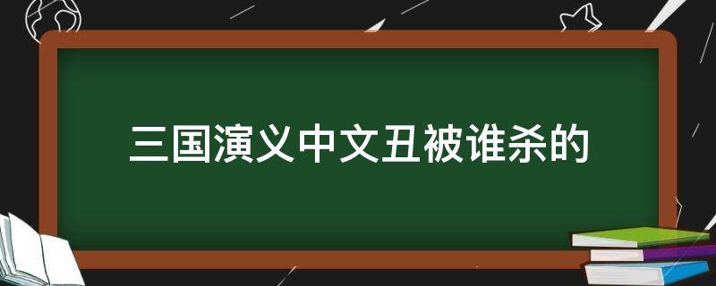 三国演义中文丑被谁杀的（三国演义中文丑被谁杀了）