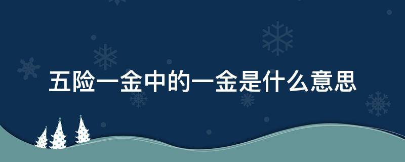 五险一金中的一金是什么意思（五险一金里面的一金是什么意思）