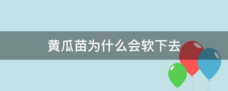 黄瓜苗为什么会软下去（黄瓜苗被晒软了还能活吗）