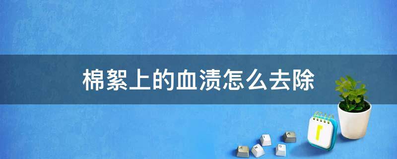 棉絮上的血渍怎么去除（棉絮血渍的处理方法）