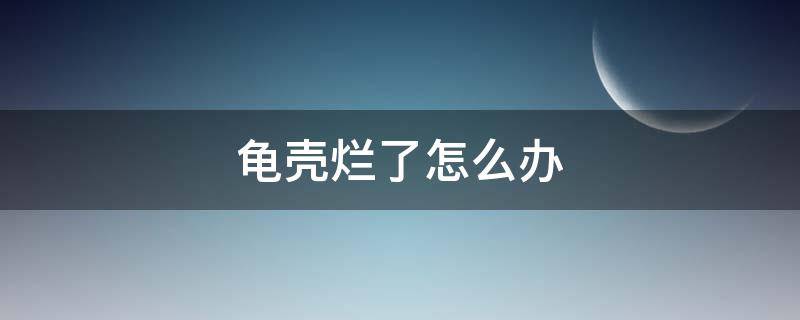 龟壳烂了怎么办 龟壳有点烂了怎么办