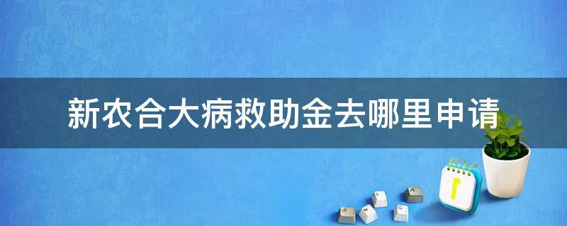 新农合大病救助金去哪里申请（新农合大病救助金去哪里申请,需要哪些材料）