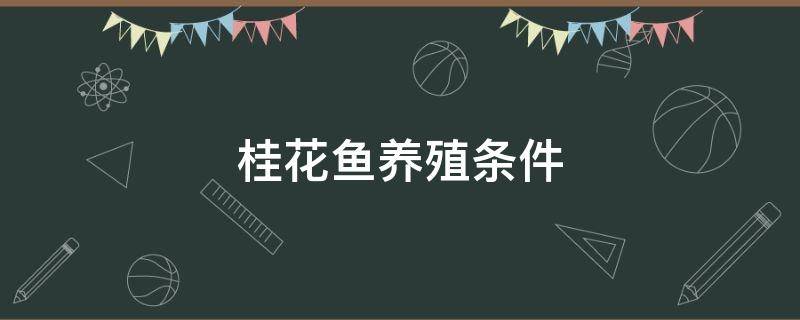 桂花鱼养殖条件 桂花鱼的养殖技术