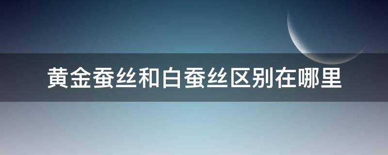 黄金蚕丝和白蚕丝区别在哪里（黄金蚕丝和白蚕丝的区别）