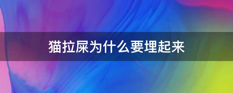 猫拉屎为什么要埋起来 猫拉粑粑为什么要埋起来